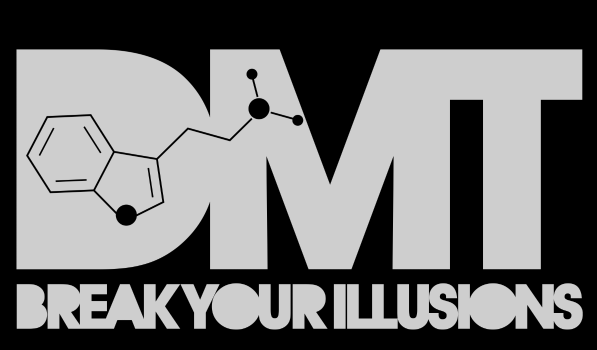 Nick's Break Your Illusions Hooded Sweatshirt