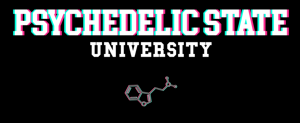 Nick's Psychedelic State Women's tee