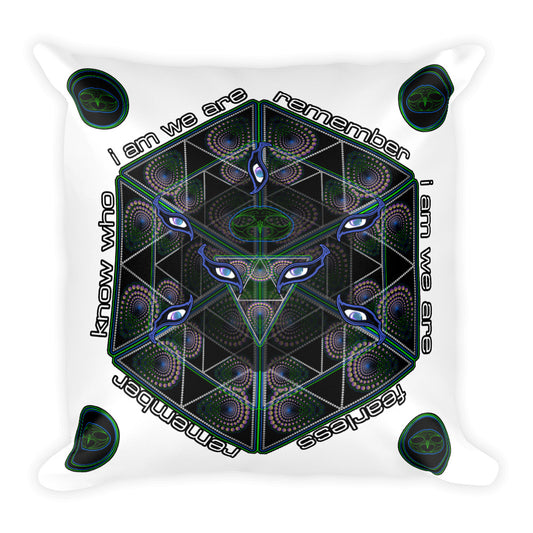 Nick's Remember Who You Are Pillow