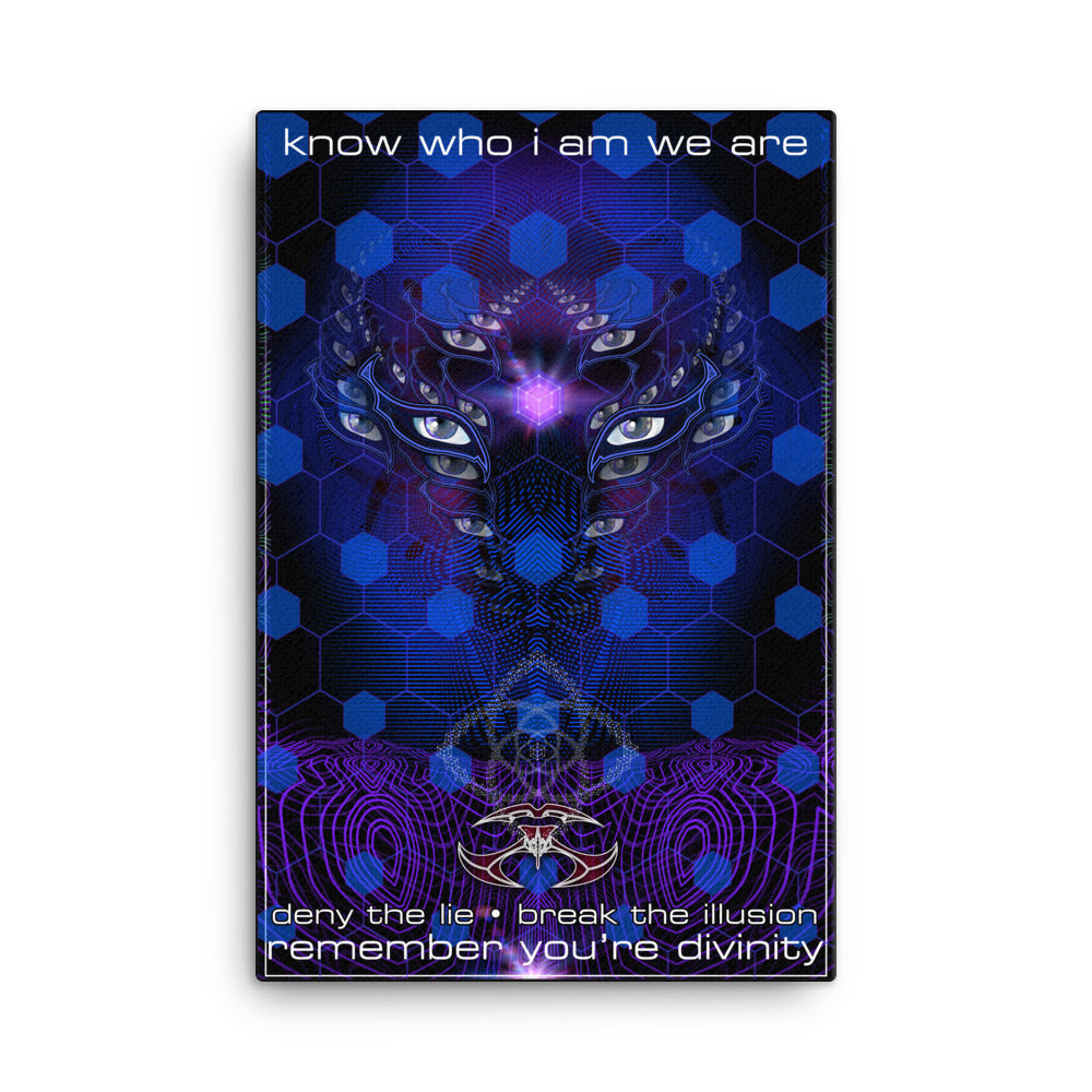 Nick's Break The Illusion Canvas