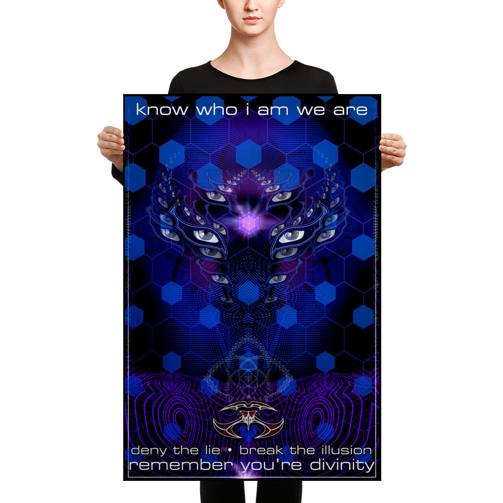 Nick's Break The Illusion Canvas