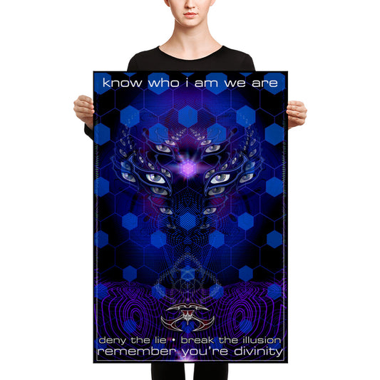 Nick's Break The Illusion Canvas