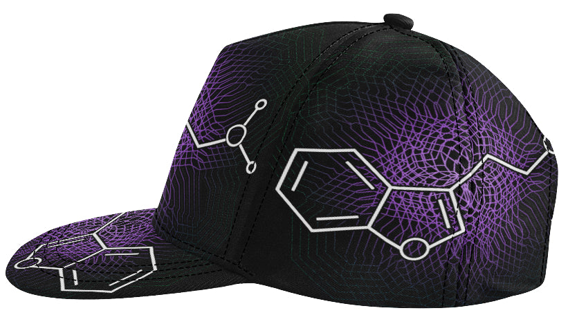 Featured Gear* 'DMT Molecule' Snapback hat by Nick Zervos – I Am 