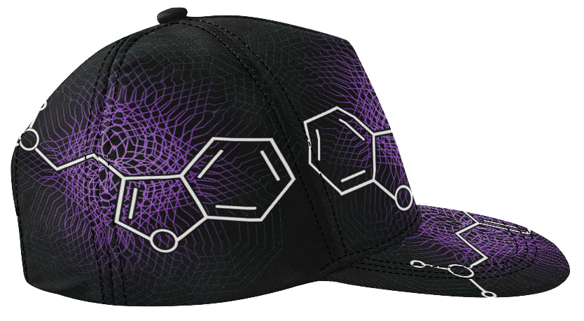 Featured Gear* 'DMT Molecule' Snapback hat by Nick Zervos – I Am 